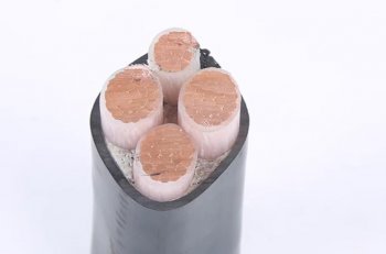 電纜知識(shí)科普，輕松變大神！